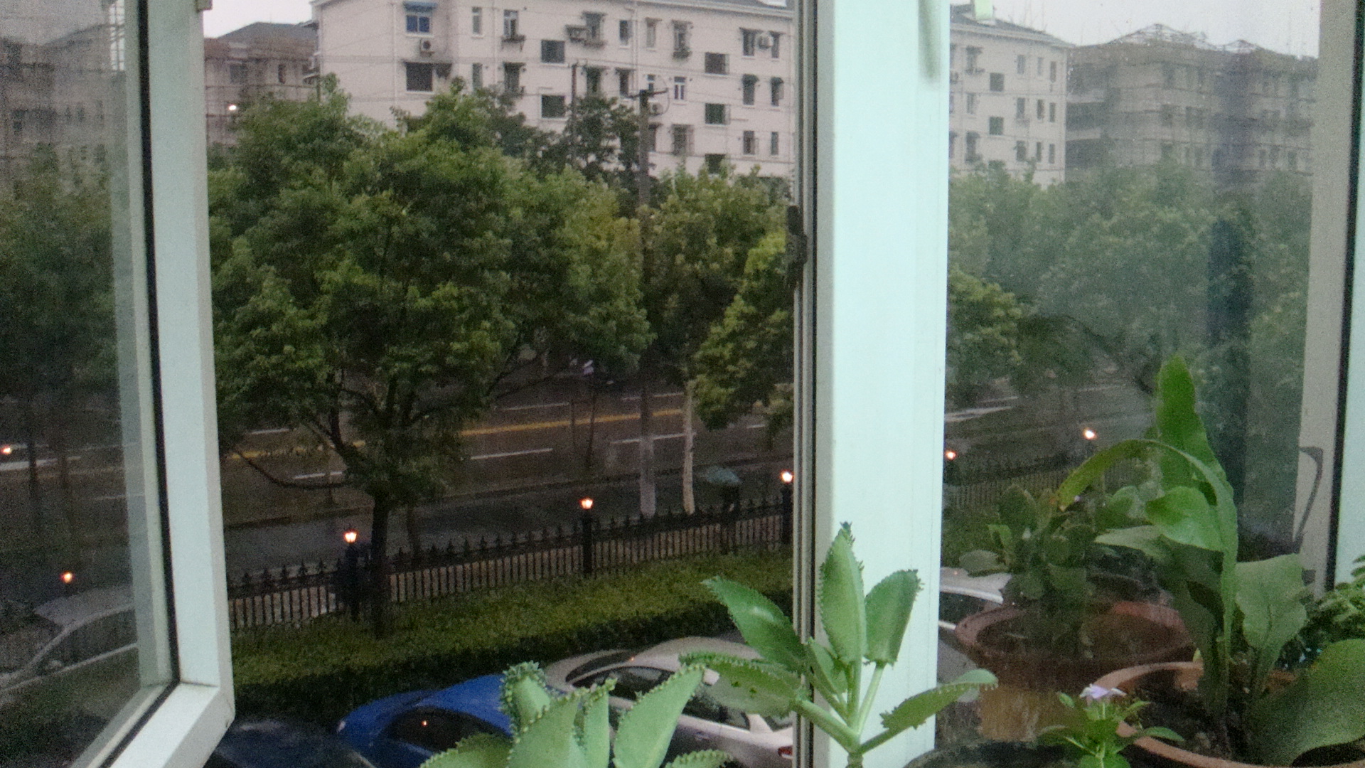 2009-7-22 9-46-37_0019.JPG